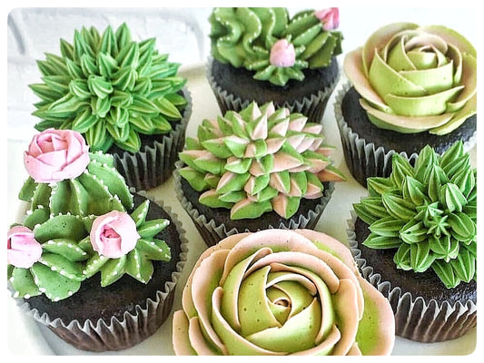 Succulent Cupcakes, Box of 6